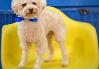 IMG_20211106_192954_706