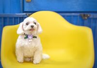 IMG_20211129_211754_931