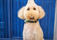 IMG_20211128_203957_687