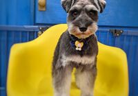 IMG_20211123_213638_372