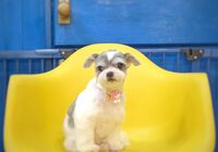 IMG_20211122_210848_322