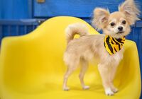 IMG_20220108_192556_653