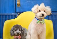 IMG_20211231_193002_902